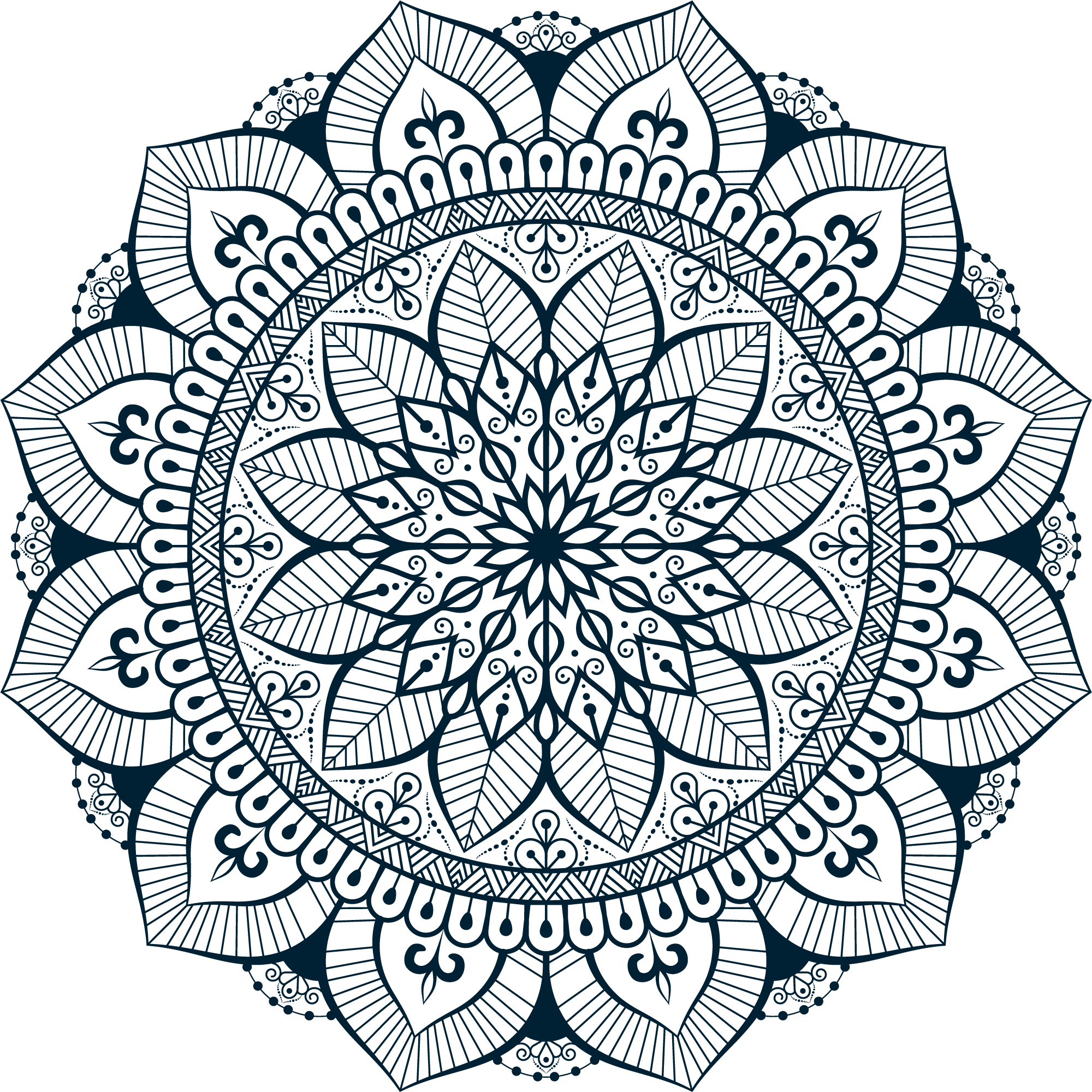 flower_dark
